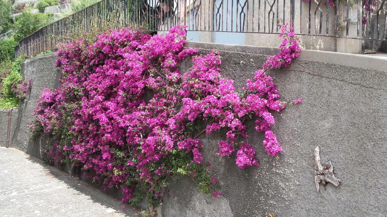 הוילה מונליה Un Gioiello Con Vista Mare מראה חיצוני תמונה
